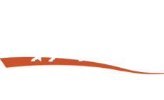 Naturally Gaited Horse where Dressage is More than Trot